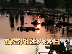 -南京银杏湖乐园