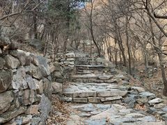 -北京鹫峰国家森林公园