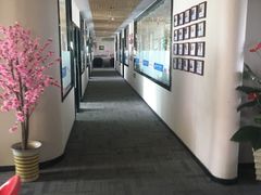 -扬格外语学校(芝罘校区)