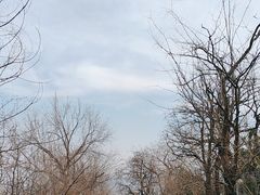 -鹫峰国家森林公园