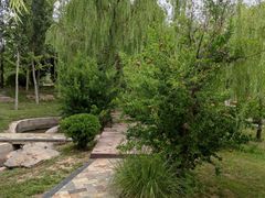 -武清南湖绿博园