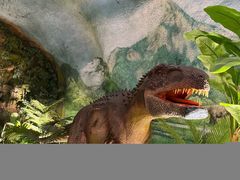 -栾川竹海野生动物园