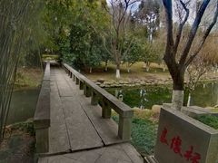 -桐乡植物园
