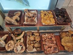 -草墩罗非鱼庄•野生菌•腊排骨(七星街上段店)