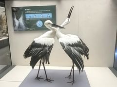 -天津自然博物馆