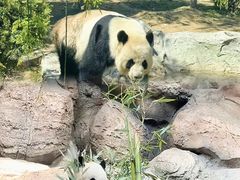 -泉城欧乐堡梦幻世界