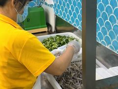 -陈添記·祖傳爽鱼皮·西关老字号(广州首店)