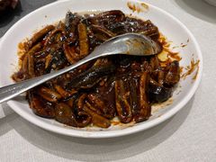 -新吉士·上海菜(浦东LCM置汇旭辉店)