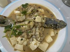 -煲来饱去冷水鱼