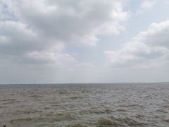 -东寨港红树林旅游区