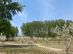 -野鸭湖国家湿地公园