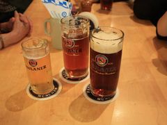 黄啤，混啤和黑啤-Restaurant Paulaner am Dom