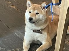 -三目仓咖啡(贤南路店)