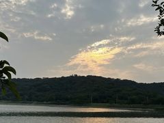 -羊山湖公园