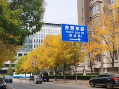 -远洋未来广场(育慧北路店)