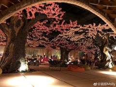 -蓝鲸湾汤泉(包河店)