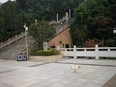 -铁山坪森林公园