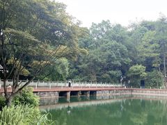 -缙云山景区