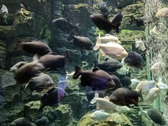 -成都浩海立方海洋公园