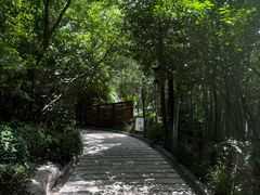 -天目湖涵田半山温泉