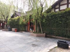 -秀丽东方