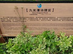 -九龙潭景区