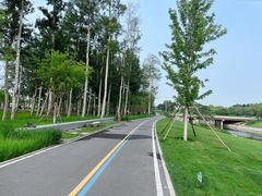 -坝河休闲公园