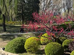 -大钟寺古钟博物馆