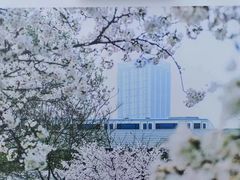 -堤角公园