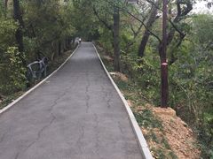 -首义公园-武昌蛇山烈士祠