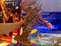 -驻海渔市(置信店)