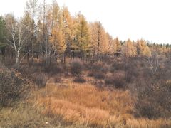 -塞罕坝国家级自然保护区