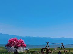 -新疆那拉提国家旅游度假区