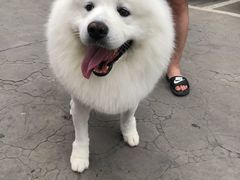 -宠福鑫康馨动物医院·骨科·眼科