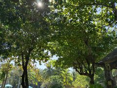 -海南清水湾莱佛士酒店