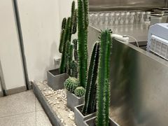 -果呀呀(吾悦广场店)