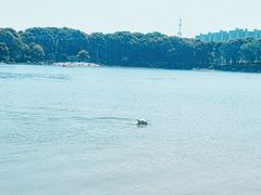 -美兰湖景区