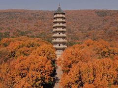 -灵谷景区