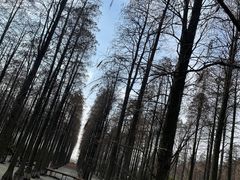 -渌洋湖湿地公园