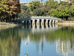 -四海公园(南山区)