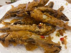 椒盐多春鱼-吉源大排档·鱼生·海鲜(烧烤彩印厂店)