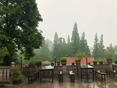 -马克咖啡The Moganshan Lodge