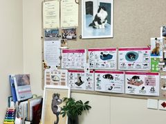 -美联众合爱康动物医院•复杂内科•肿瘤科•牙科•腔镜诊疗中心