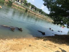 -杭州双溪漂流景区