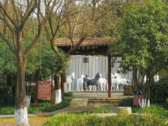 -白马涧龙池景区