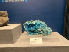-贵州省地质博物馆