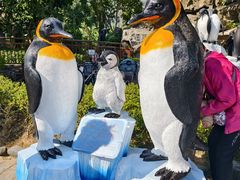 -喷泉广场餐厅·宵夜·海鲜烧烤大排档(长隆企鹅酒店)