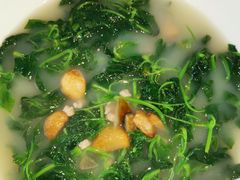 绿浅草-顺德了能馆(虎门店)