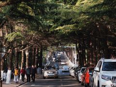 -八大关景区
