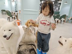 -安格丽娜·狗咖·猫咖羊驼咖(春熙路百盛商场店)